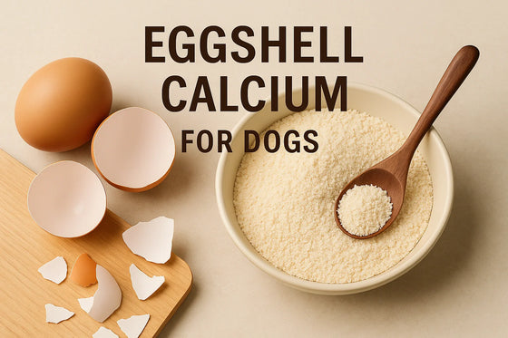 Photo-real top-down image of organic eggshells and finely ground eggshell powder arranged on a soft beige surface with the title “Eggshell Calcium for Dogs” in clean editorial typography.