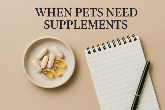 Editorial image with a notepad, pen, and supplement containers on a neutral background with the title ‘When Pets Need Supplements,’ representing a vet-style guide to deciding when dogs and cats truly need supplements.
