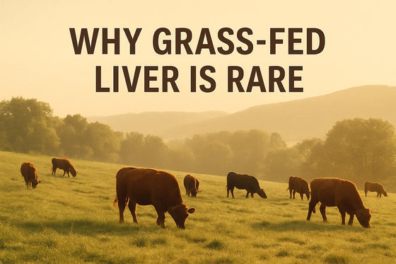 Organic grass-fed cattle grazing on open American pasture at sunrise, used as a luxury feature image for Natty Nootz’s article on why true grass-fed beef liver treats are so rare.