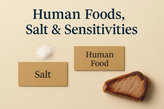 Human foods, salt, and sensitivities comparison image on beige background with kraft cards and whole-food elements in Natty Nootz editorial style.