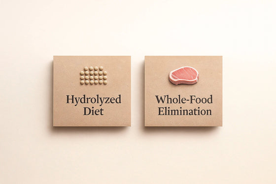 Editorial flat-lay comparing hydrolyzed diets and whole-food elimination on beige background with kraft cards — Natty Nootz allergy guide.