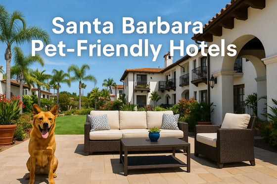 Dog-friendly hotels in Santa Barbara and Montecito — beachfront resorts and pet-welcoming accommodations.