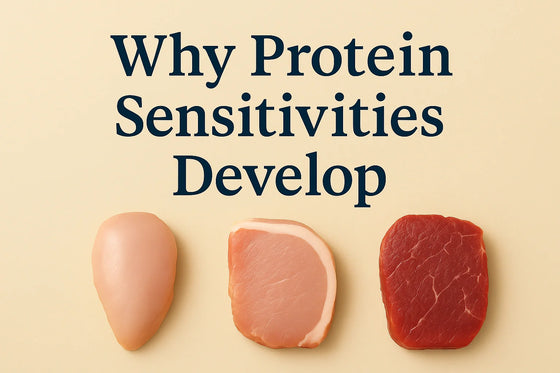 Raw chicken pork and beef on a beige background with the title Why Protein Sensitivities Develop in a clean minimal editorial style